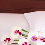Appartement Aleka Neoi Poroi