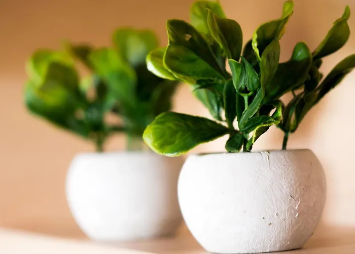 Apartamento Aleka Neoi Poroi