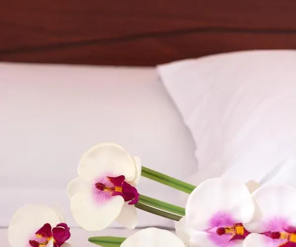 Apartamento Aleka Neoi Poroi